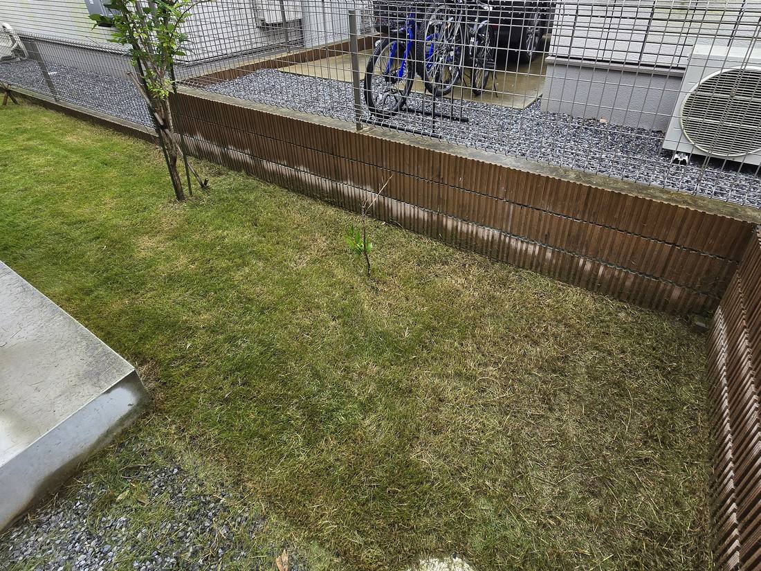 際まで刈り込み、砂利敷きとの境目を整えた庭