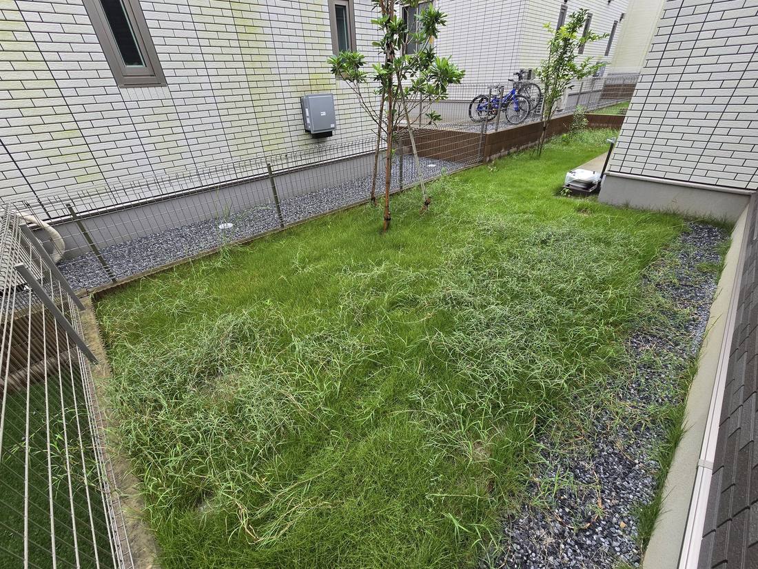 伸びて寝てしまった住宅の芝生