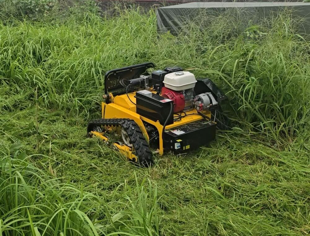 腰の高さを超える草が伸びた空き地